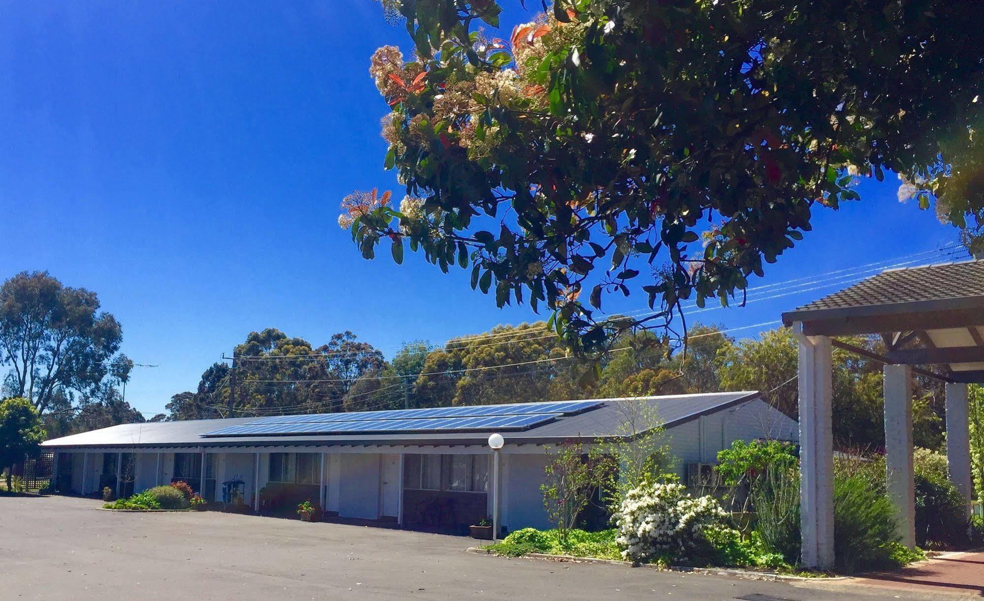 Manjimup Kingsley Motel Exteriör bild